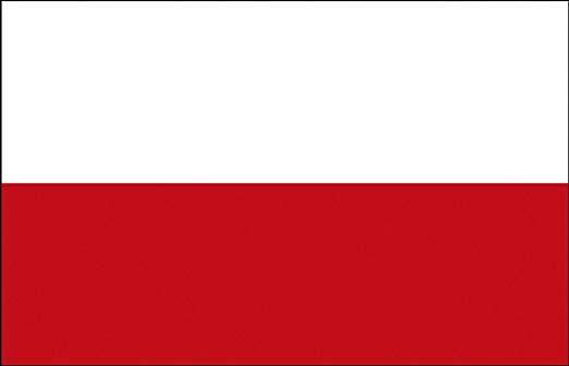 Flag Poland 20x30cm