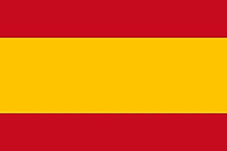Flag Spain 20x30