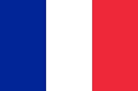 Flag France 30x45cm